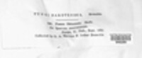 Image Associated With the Occurence